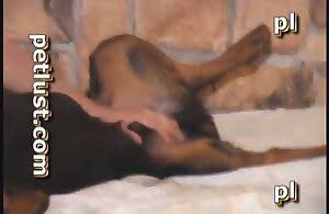 Anh chàng đụ lỗ miệng của một chú chó gợi cảm