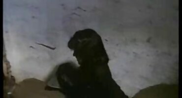 clip sex hom nay Brunette hút vòi nước dày. sexkoche